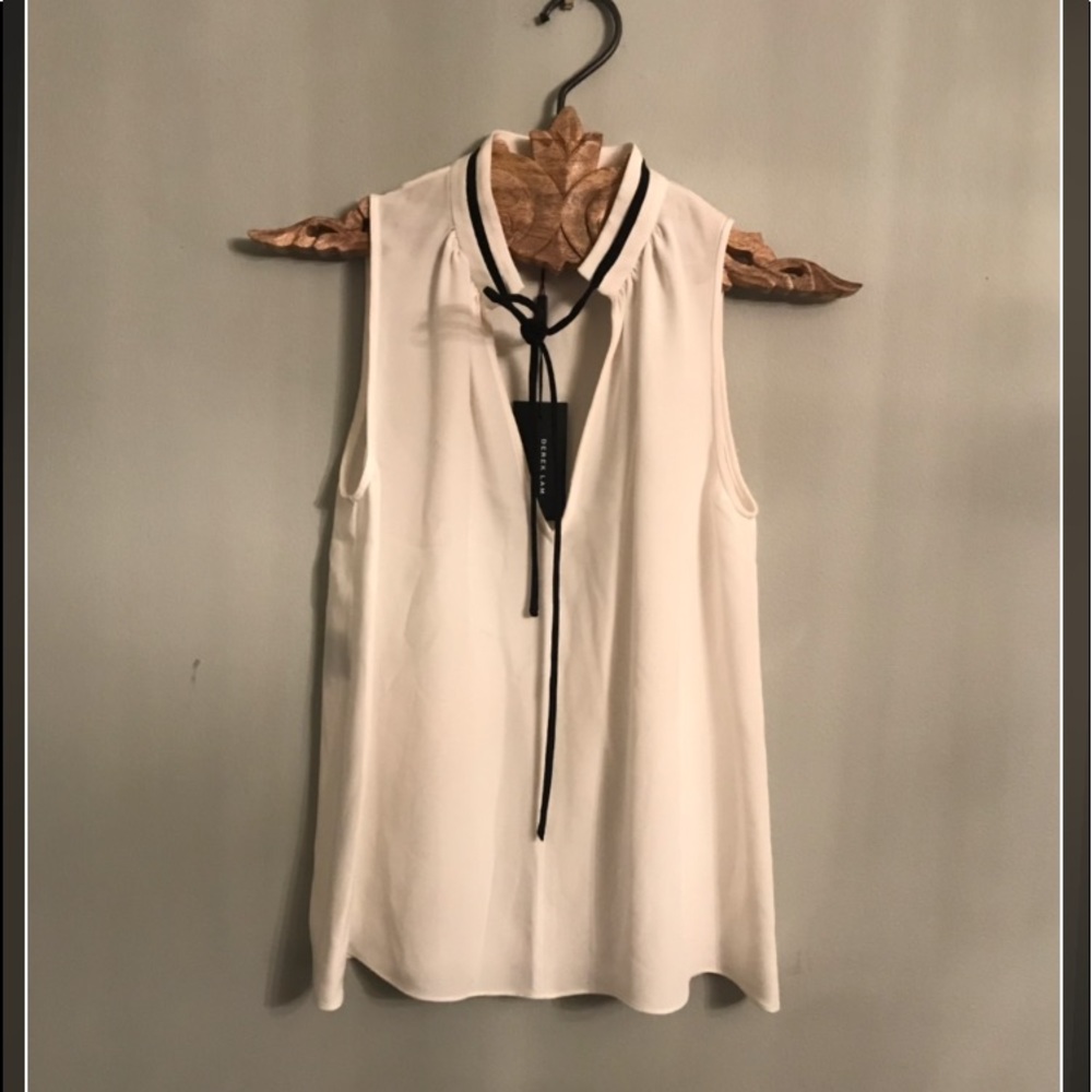Derek Lam Silk Blouse. Anastasia Steele